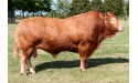 ECILA - Limousin